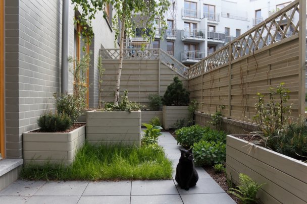 Taras dla kota, idealne miejsce dla zwierząt i właścicieli. Inspiracja na mały ogród przy bloku
