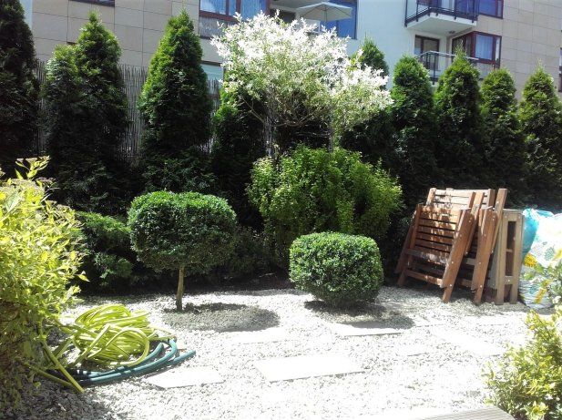 Mały ogród bezobsługowy, inspiracaj zdjęcie z Wilanowa