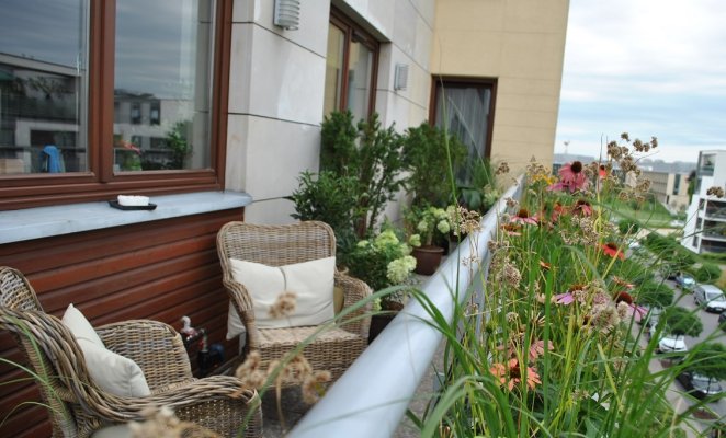 Aranżacja z kwiatów wieloletnich na balkonie na Wilanowie. Rośliny wielolenie w donicach i skrzyniach, wygodne meble balkonowe zewnętrzne