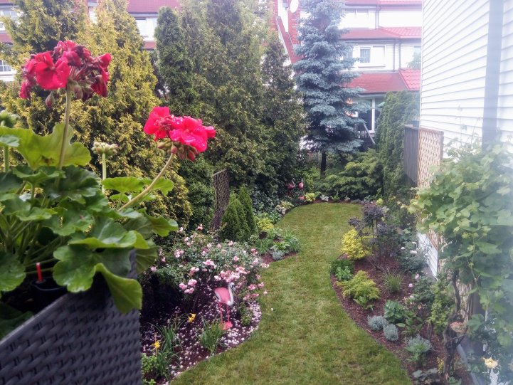 Ogród kwiatowy przy segmencie, rabaty wzdłuż ogrodzenia