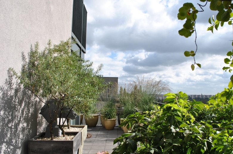 Projekt roślinności w dużych donicach na tarasie w apartamentowce na Mokotowie
