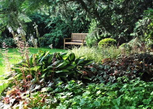 ogród bylinowy