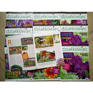 image-19