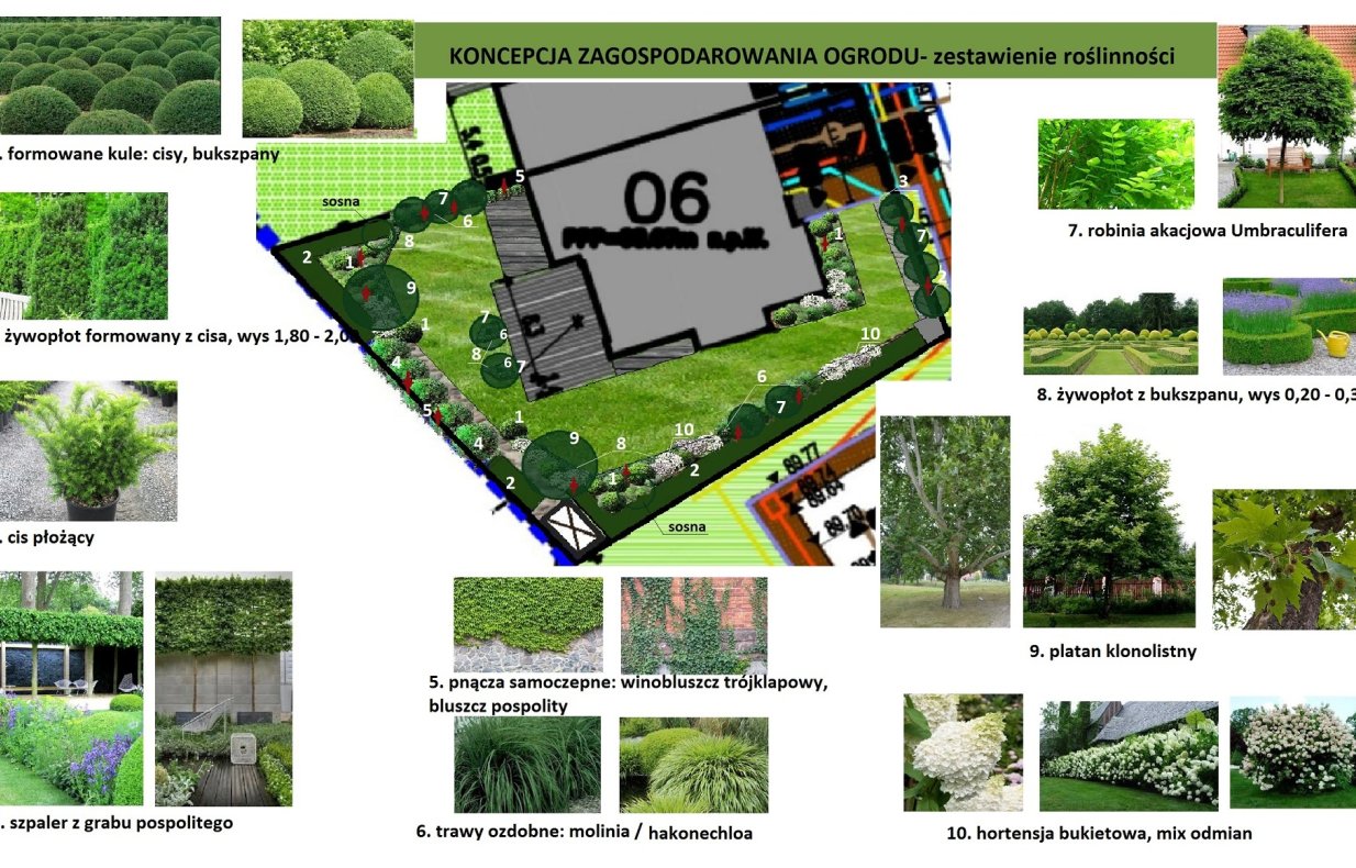 koncepcja aranżacji roślinności w ogrodzie