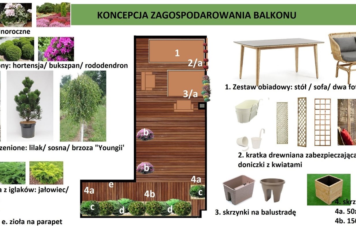 koncepcja aranżacji zieleni na balkonie