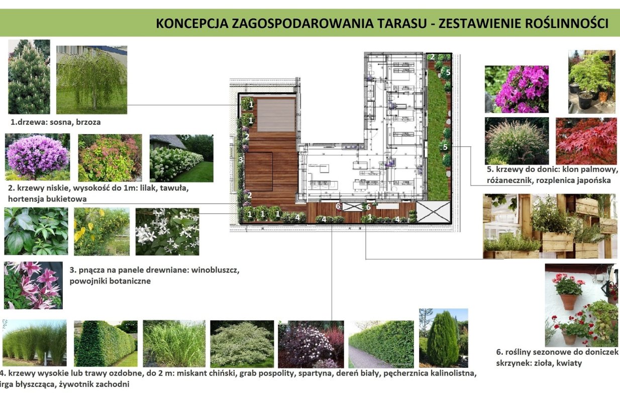 aranżacja roślinności na tarasie