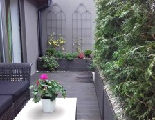 rośliny na balkon