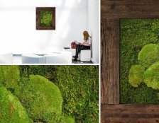 zielone wnętrze w biurze