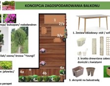 koncepcja aranżacji zieleni na balkonie