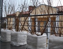 zabezpieczenie roślin na zimę Wilanów