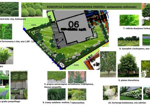 projekt koncepcyjny ogrodu szykownego