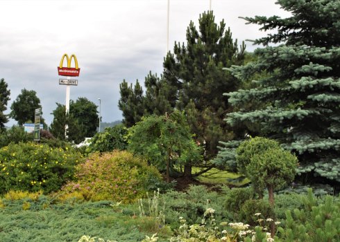 ogród przy restauracji Mc Donald's