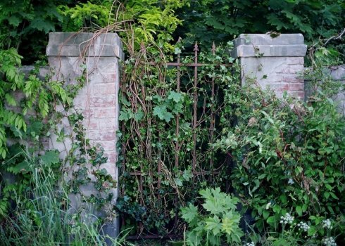 kompozycje roślinne do sesji fotograficznych