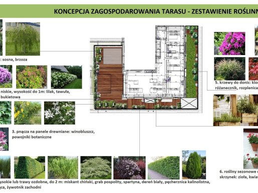 koncepcja aranżacji tarasu z altaną