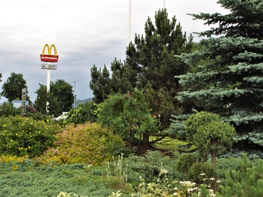 ogród przy restauracji Mc Donald's