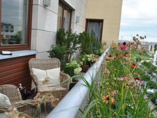 wąski balkon z łąką w tle