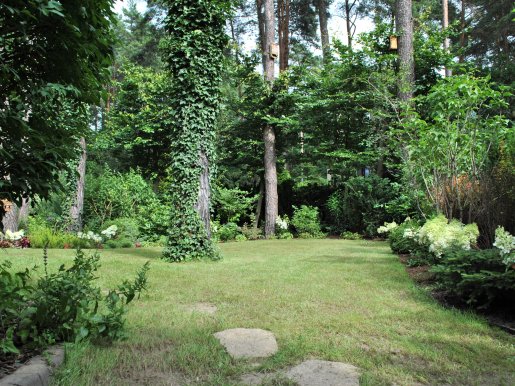 ogród leśny w Magdalence